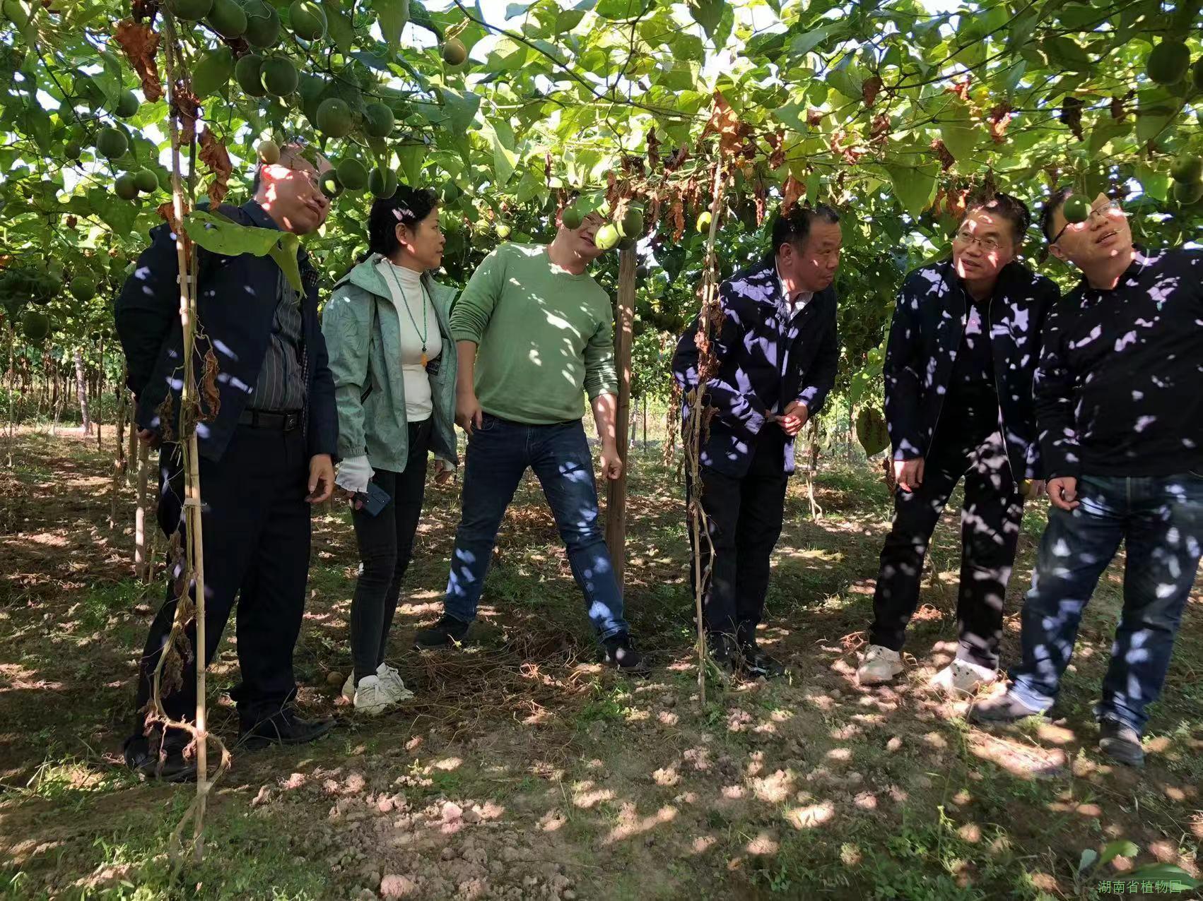 AG旗舰厅(中国游)官方网站