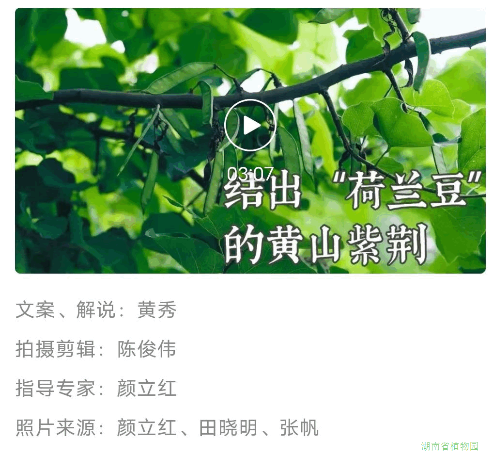 AG旗舰厅(中国游)官方网站