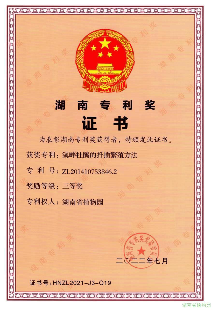 AG旗舰厅(中国游)官方网站
