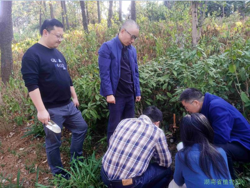 AG旗舰厅(中国游)官方网站