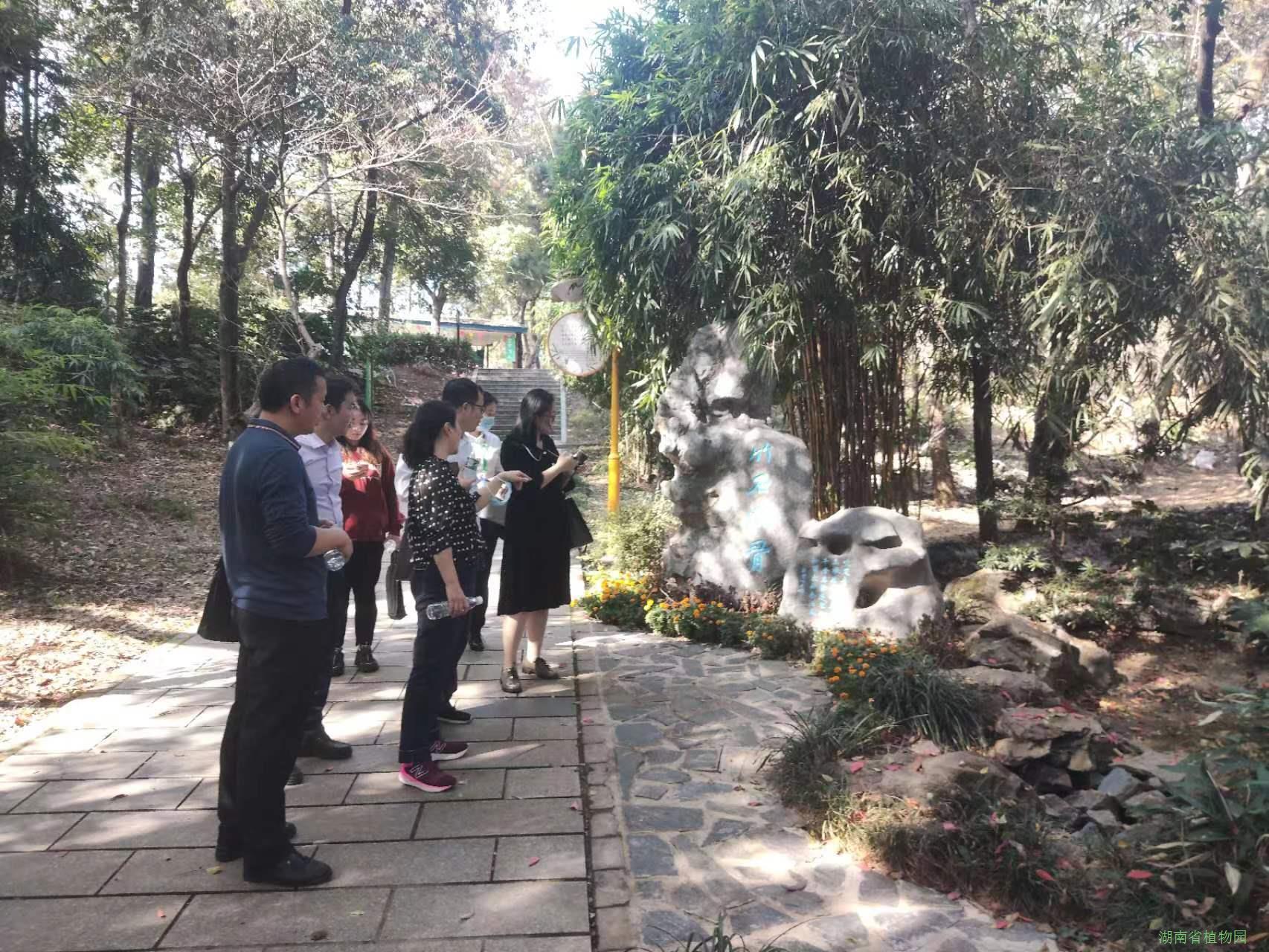 AG旗舰厅(中国游)官方网站