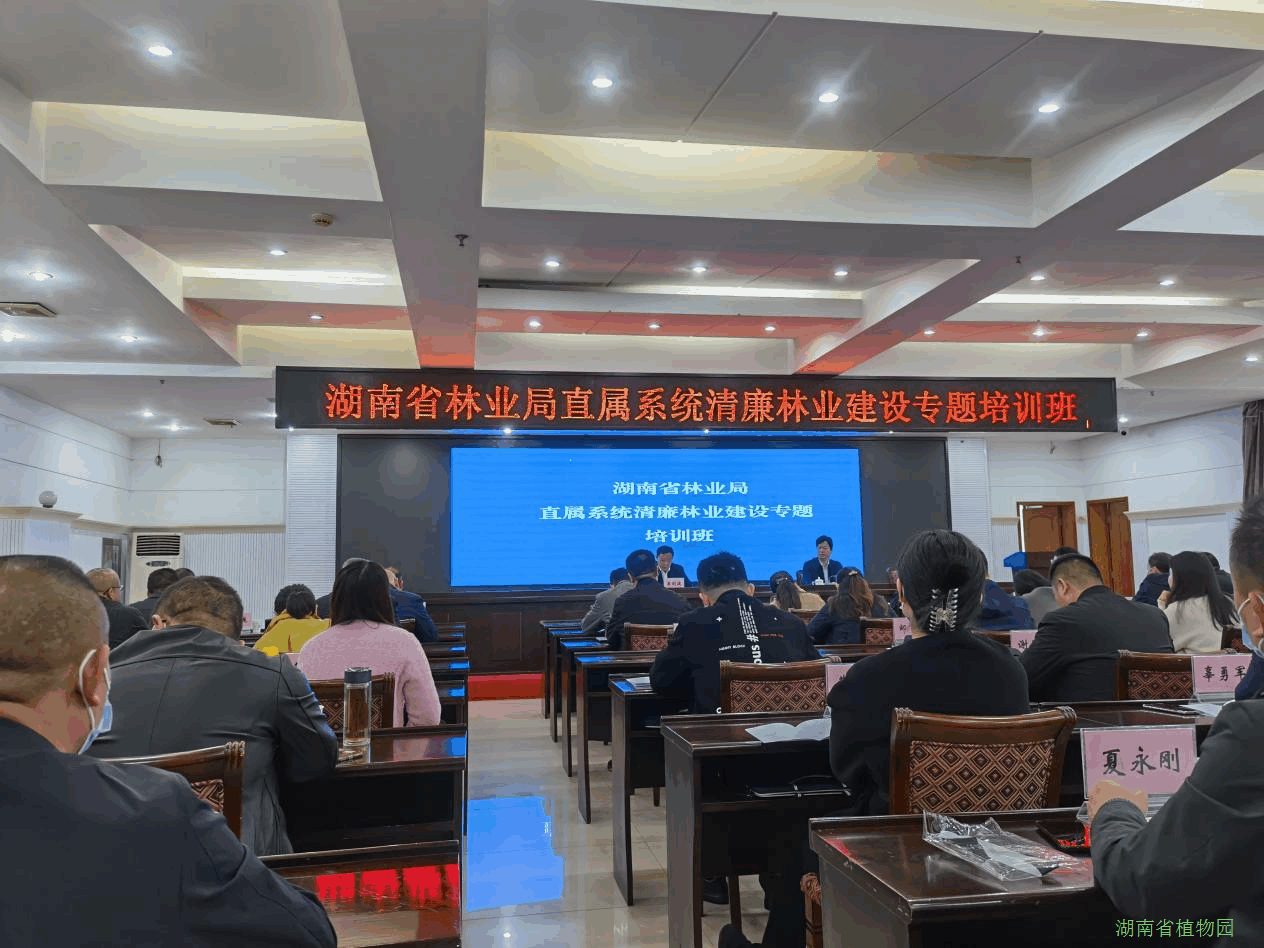 AG旗舰厅(中国游)官方网站