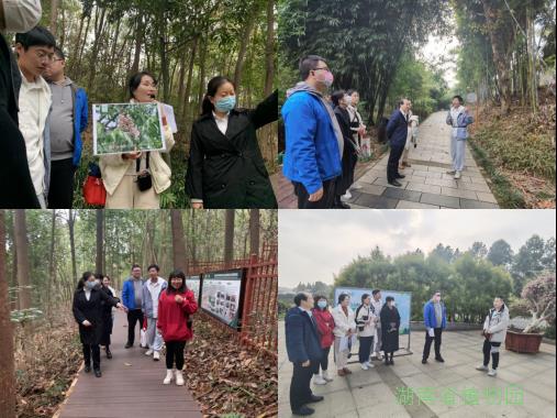 AG旗舰厅(中国游)官方网站