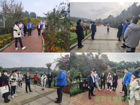 AG旗舰厅(中国游)官方网站
