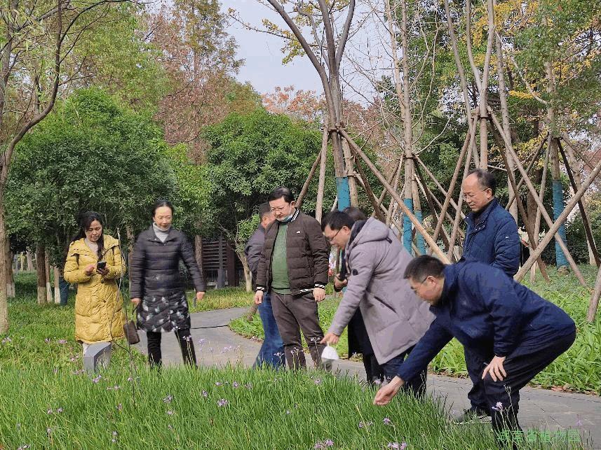 AG旗舰厅(中国游)官方网站