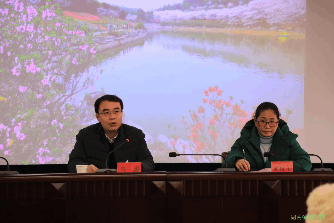 AG旗舰厅(中国游)官方网站