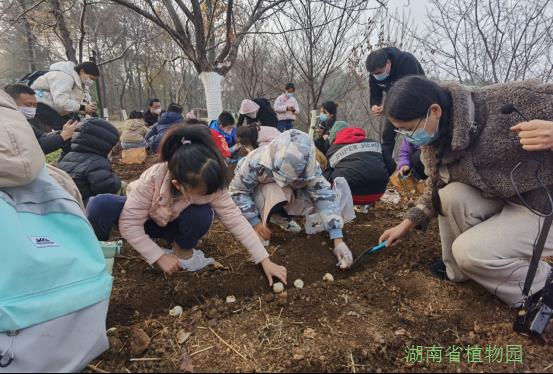 AG旗舰厅(中国游)官方网站