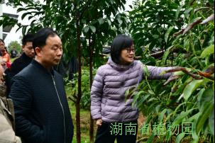 AG旗舰厅(中国游)官方网站