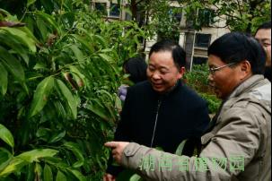 AG旗舰厅(中国游)官方网站