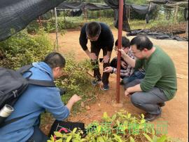 AG旗舰厅(中国游)官方网站