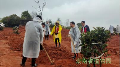 AG旗舰厅(中国游)官方网站