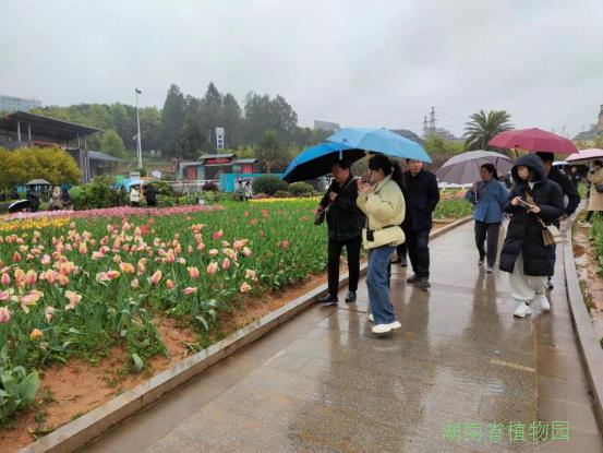 AG旗舰厅(中国游)官方网站