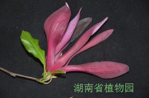 AG旗舰厅(中国游)官方网站