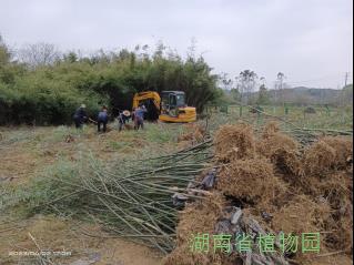 AG旗舰厅(中国游)官方网站