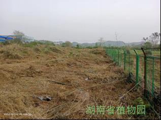 AG旗舰厅(中国游)官方网站