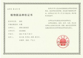 AG旗舰厅(中国游)官方网站