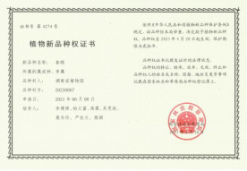 AG旗舰厅(中国游)官方网站