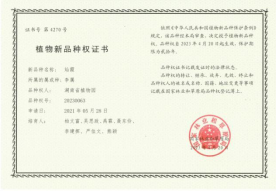AG旗舰厅(中国游)官方网站