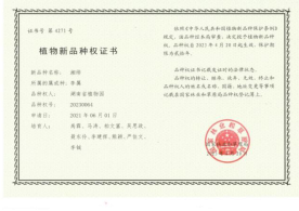 AG旗舰厅(中国游)官方网站