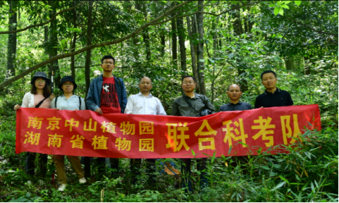AG旗舰厅(中国游)官方网站