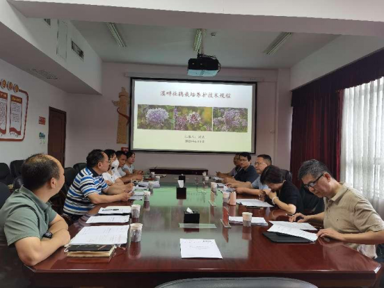 AG旗舰厅(中国游)官方网站