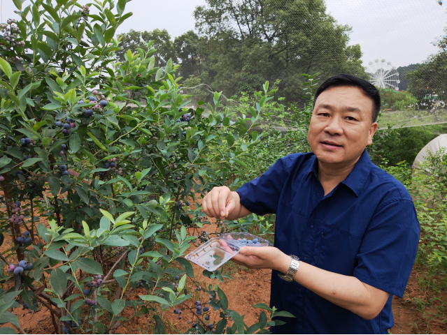 AG旗舰厅(中国游)官方网站