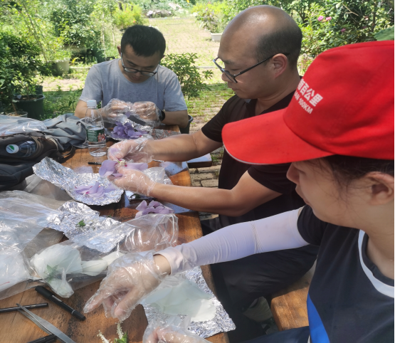 AG旗舰厅(中国游)官方网站