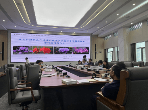 AG旗舰厅(中国游)官方网站