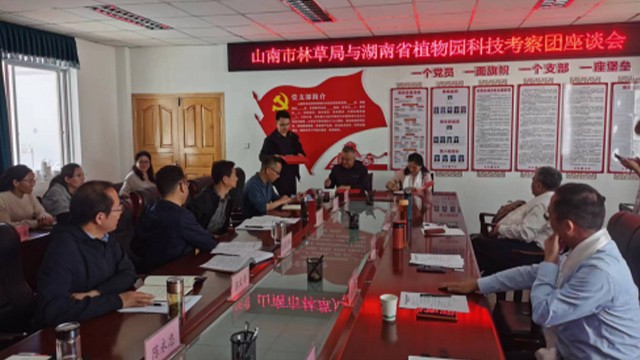 AG旗舰厅(中国游)官方网站