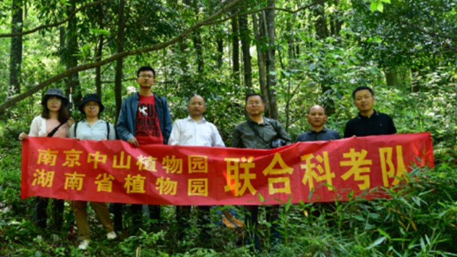AG旗舰厅(中国游)官方网站