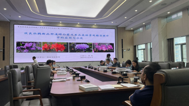 AG旗舰厅(中国游)官方网站