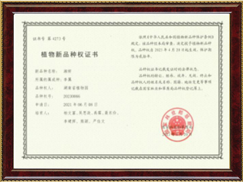 AG旗舰厅(中国游)官方网站