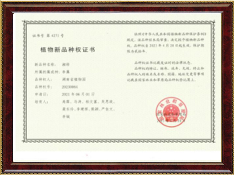 AG旗舰厅(中国游)官方网站