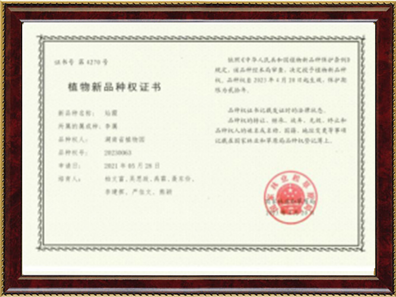 AG旗舰厅(中国游)官方网站