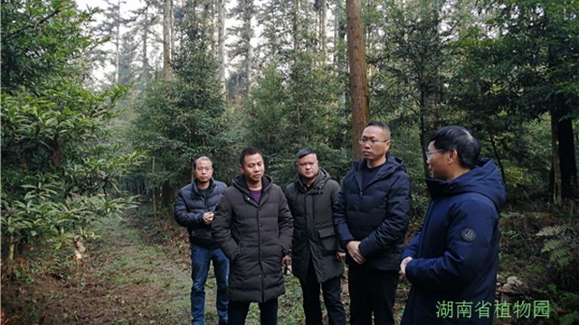 AG旗舰厅(中国游)官方网站