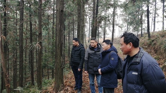 AG旗舰厅(中国游)官方网站