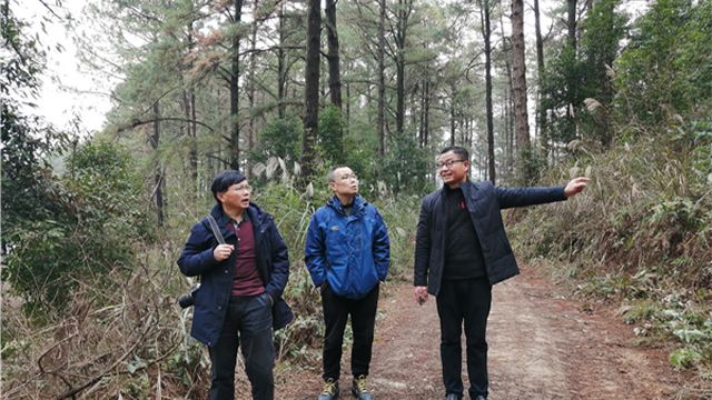 AG旗舰厅(中国游)官方网站