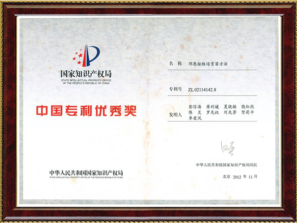邓恩桉组培育苗要领（中国专利优异奖）---2012.11