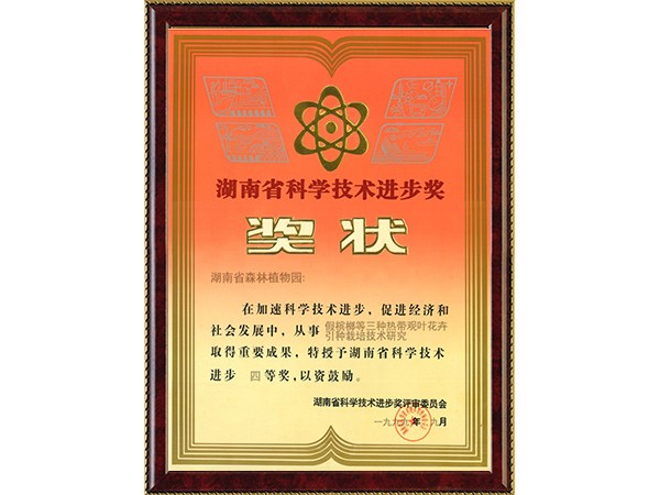 假槟榔等三种热带观叶花卉引种莳植手艺研究（省科学手艺前进四等奖）---1999.9