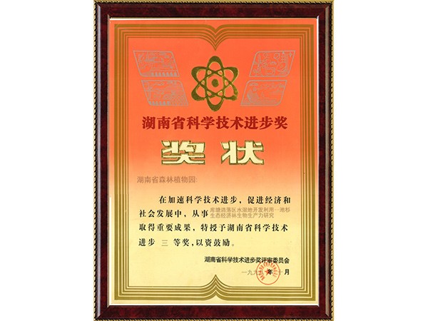 库塘消落区水湿地开发使用---池杉生态经济林生物生产力研究（省科技前进三等奖）---1998.10