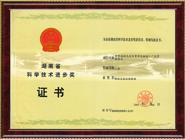 AG旗舰厅(中国游)官方网站