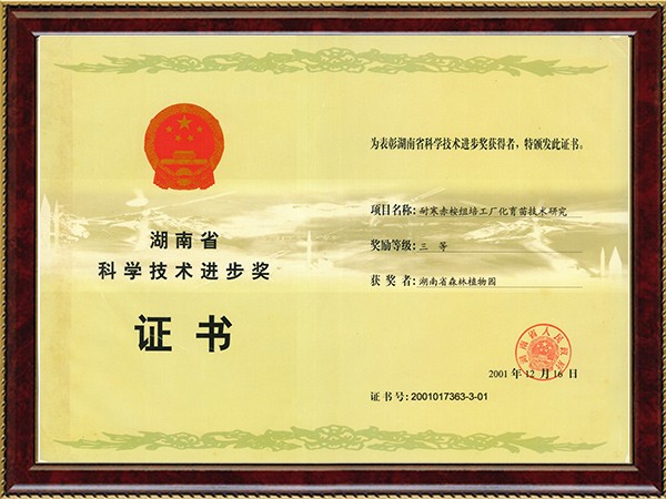 耐寒赤桉组培工厂化育苗手艺研究（省科技前进三等奖）---2001.12.16