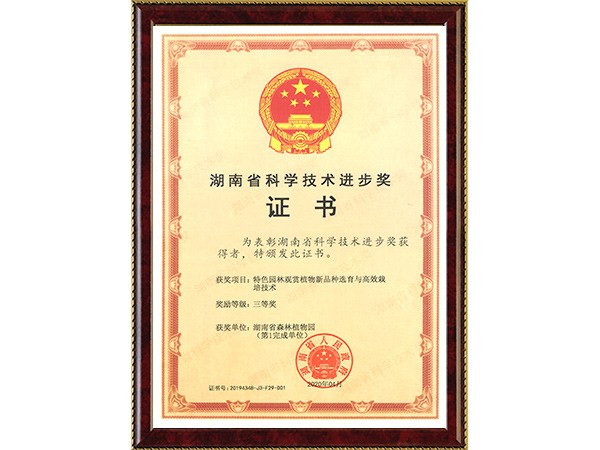 特色园林鉴赏植物新品种选育与高效莳植手艺(省科技前进三等奖~完成单位第1)---2020.04