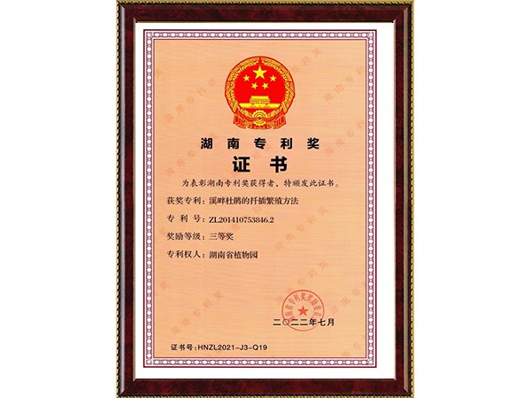 溪畔杜鹃的扦插滋生要领（湖南专利奖）---2022.7