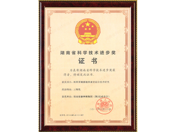 油茶采穗圃穗果兼营综合手艺研究(省科技前进三等奖~完成单位第2)---2012.1