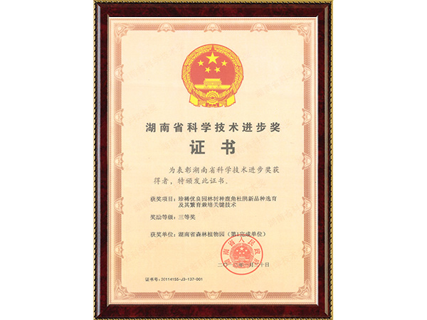 珍稀优良树种鹿角杜鹃新品种选育(省科技前进三等奖~完成单位第1)---2012.1.20