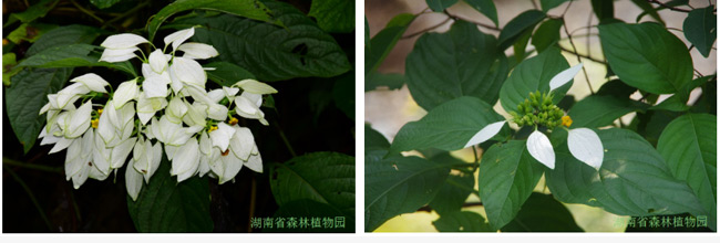 AG旗舰厅(中国游)官方网站