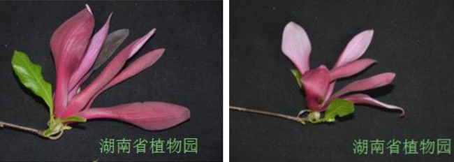 AG旗舰厅(中国游)官方网站