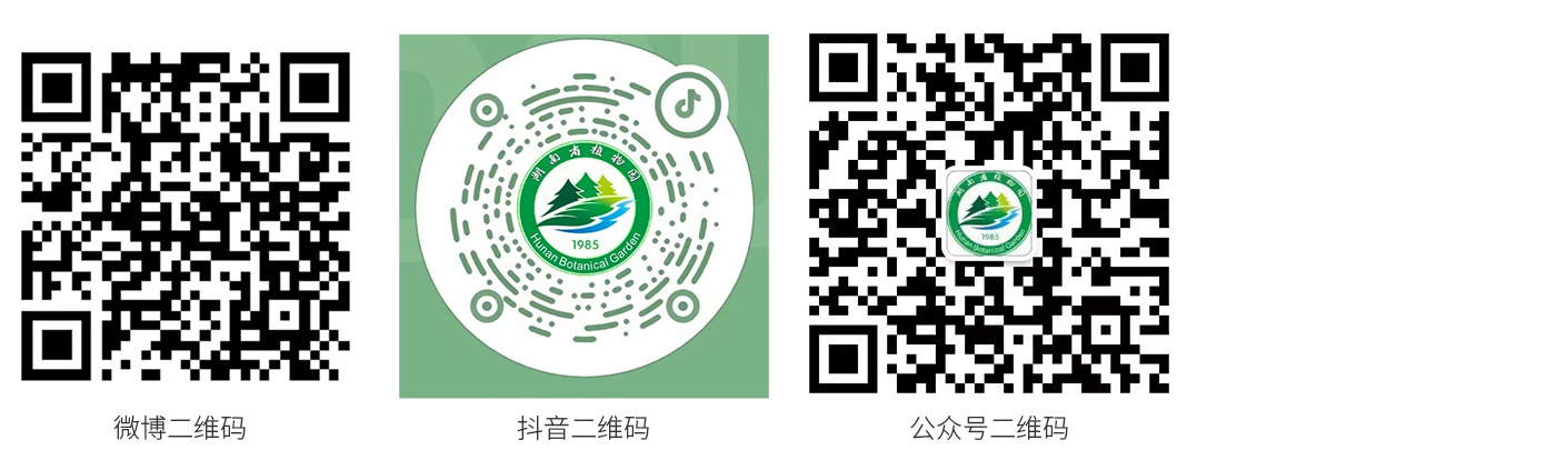 AG旗舰厅(中国游)官方网站