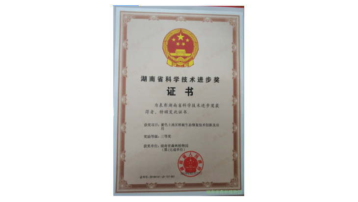 AG旗舰厅(中国游)官方网站